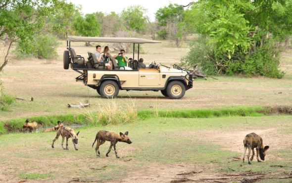 Azura Selous Special Offer