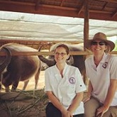 How a Mid-Life Crisis Turned into Buffalo Cheese in Laos How a Mid-Life Crisis Turned into Buffalo Cheese in Laos