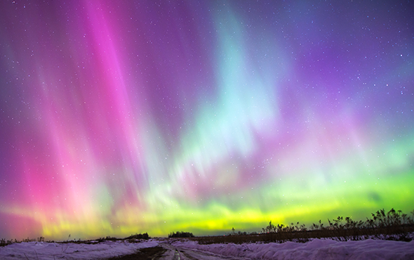 Free Night on a Northern Lights Tour