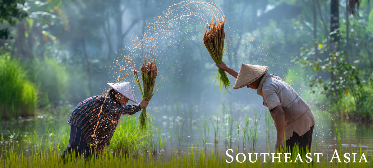 Southeast Asia Newsletter March 2019