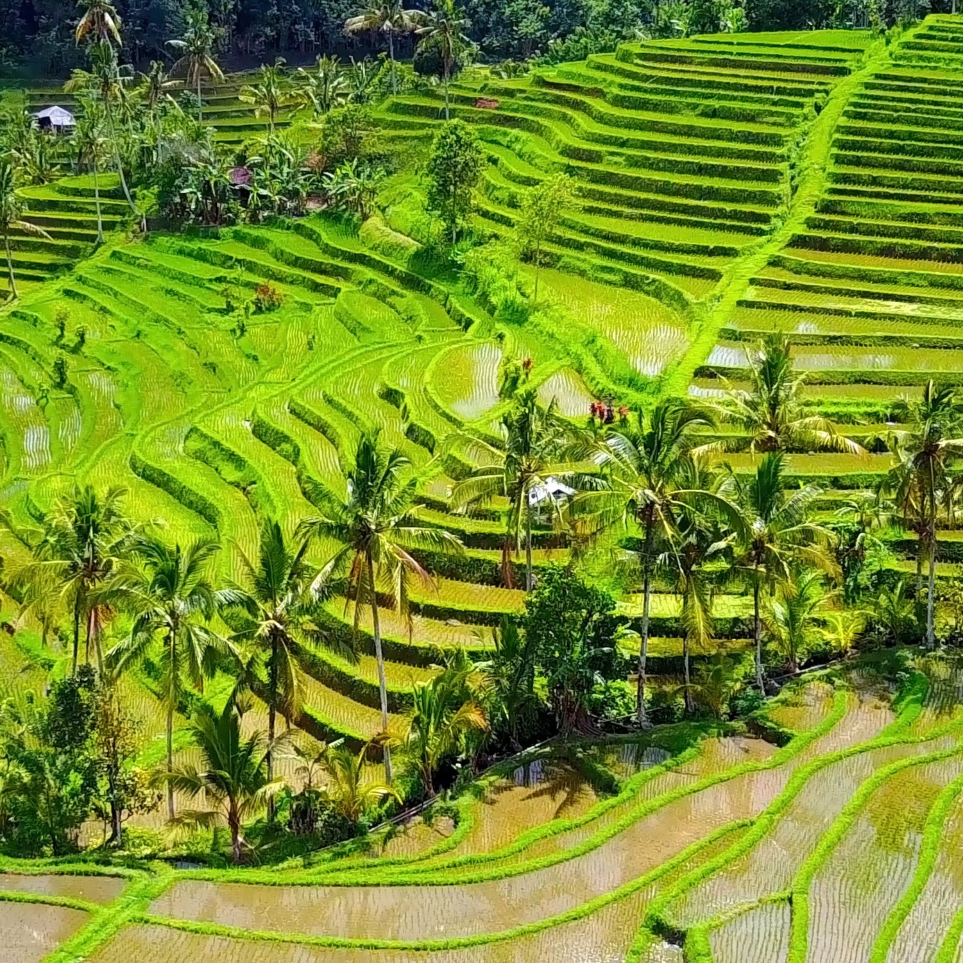 Our Top 5: Where to Snap a Selfie in Southeast Asia Our Top 5: Where to Snap a Selfie in Southeast Asia