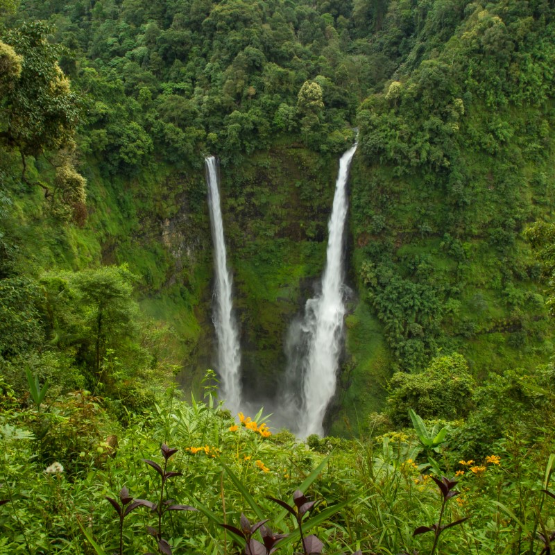 Our Top 5: “Into the Wild” Trails of Southeast Asia Our Top 5: “Into the Wild” Trails of Southeast Asia