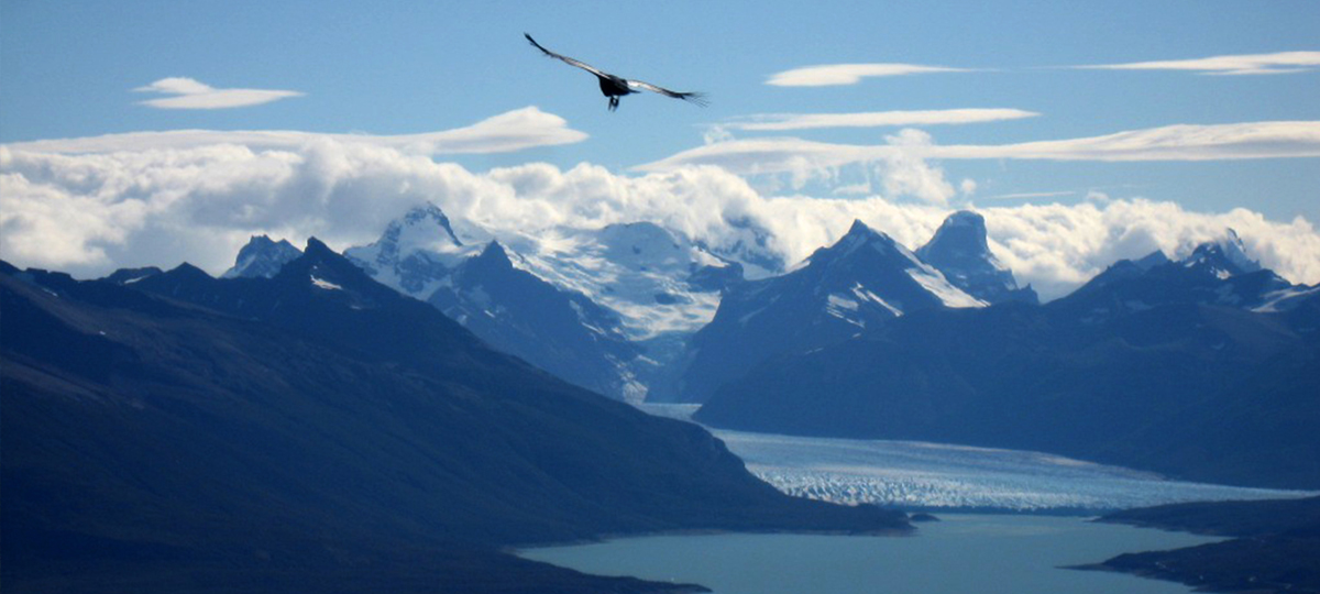 Classic Patagonia