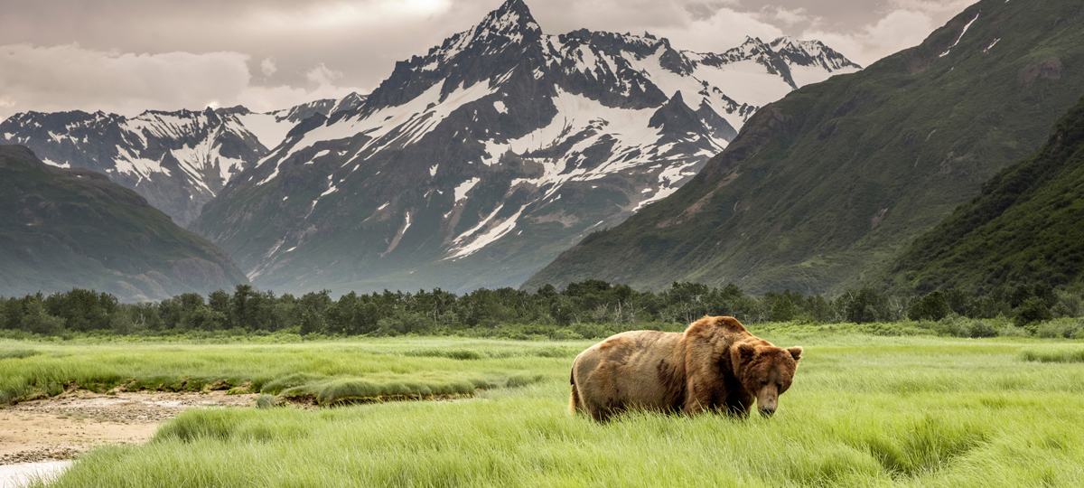 Alaska: Wild Frontiers
