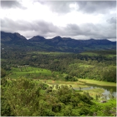 Munnar Must-dos Munnar Must-dos