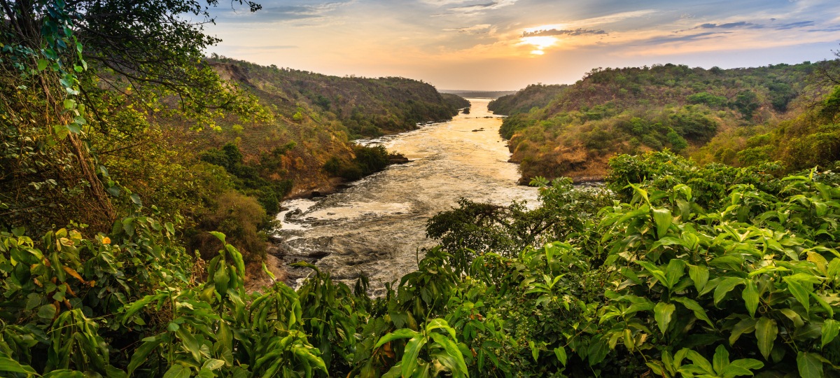 The Nile & Wildlife Safari