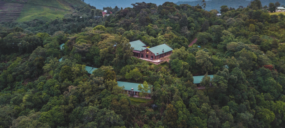 Clouds Mountain Gorilla Lodge