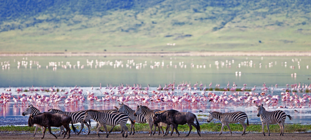 Ngorongoro Crater