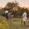 Akorn Southern Africa - Family Malaria Free Safari Akorn Southern Africa - Family Malaria Free Safari