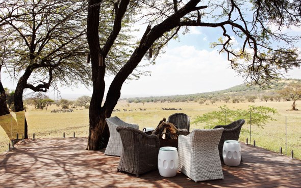 Singita Explore and Serengeti House Special