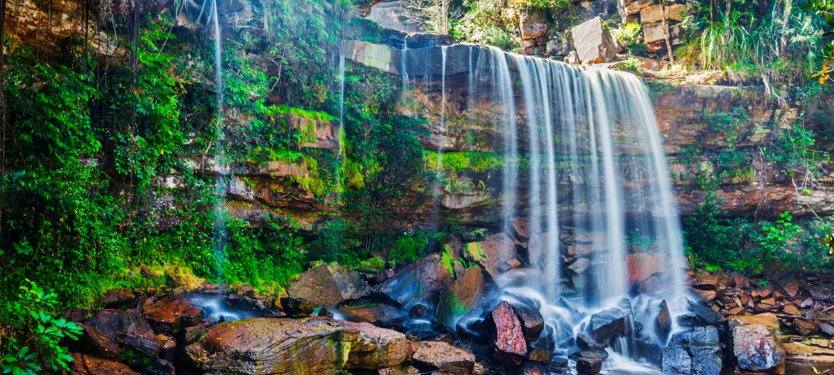 The Cardamom Mountains The Cardamom Mountains