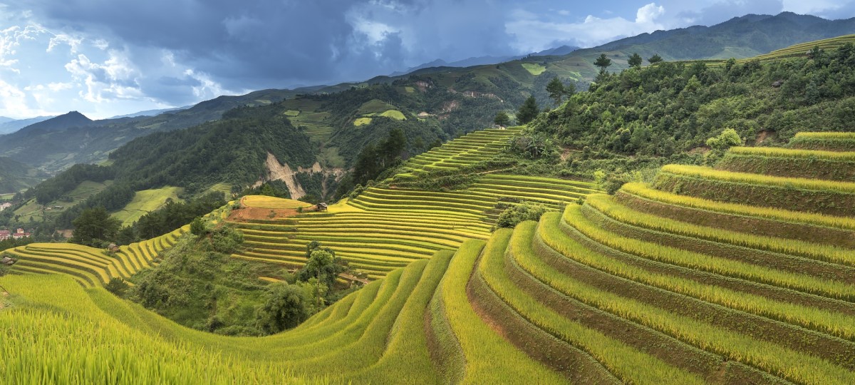 Sapa & The Northern Highlands Sapa & The Northern Highlands