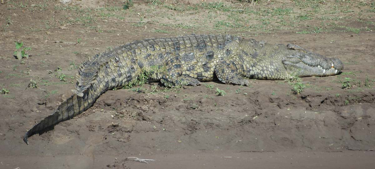 Lake Turkana