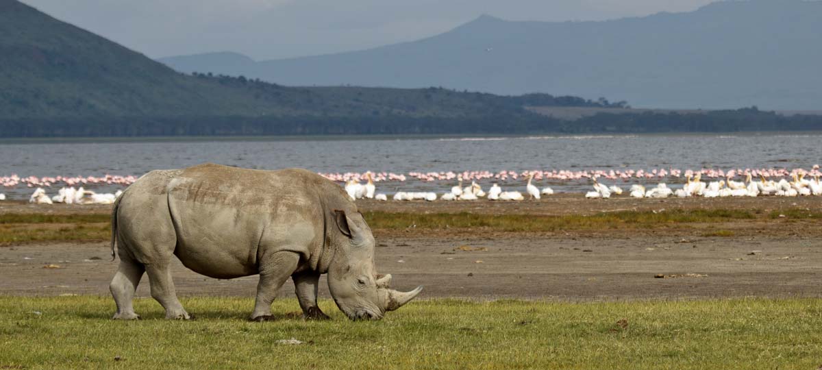 Great Rift Valley & Lakes Region