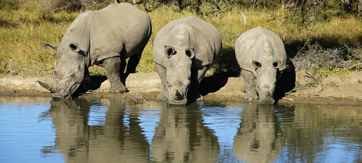 Tsavo East and West National Parks