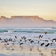 South Africa remains OPEN to International guests South Africa remains OPEN to International guests