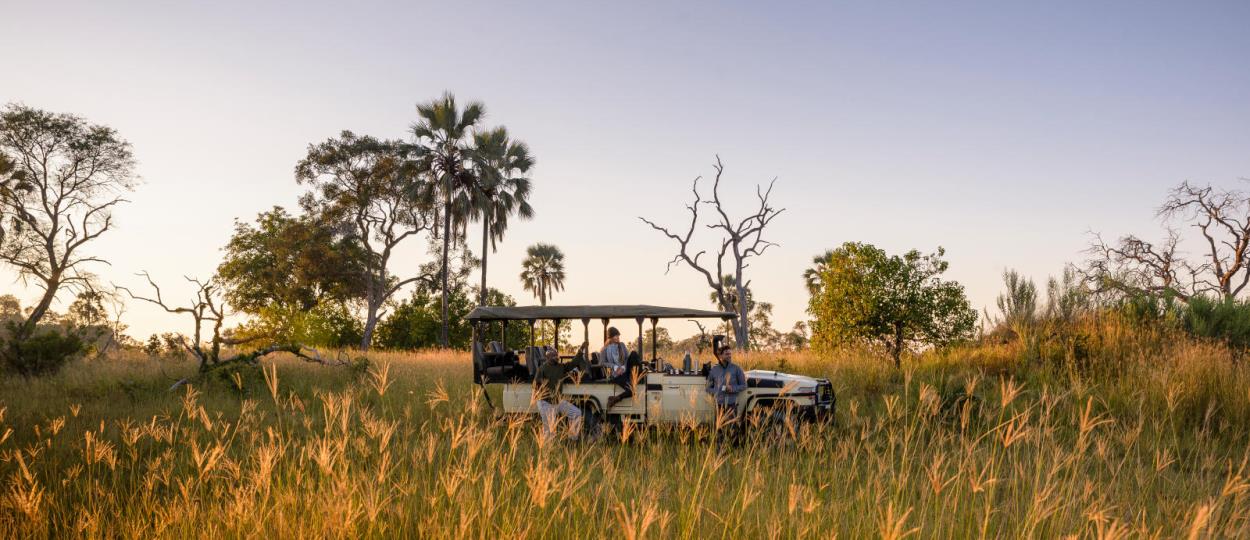 Your Private Botswana Journey - 5 nights