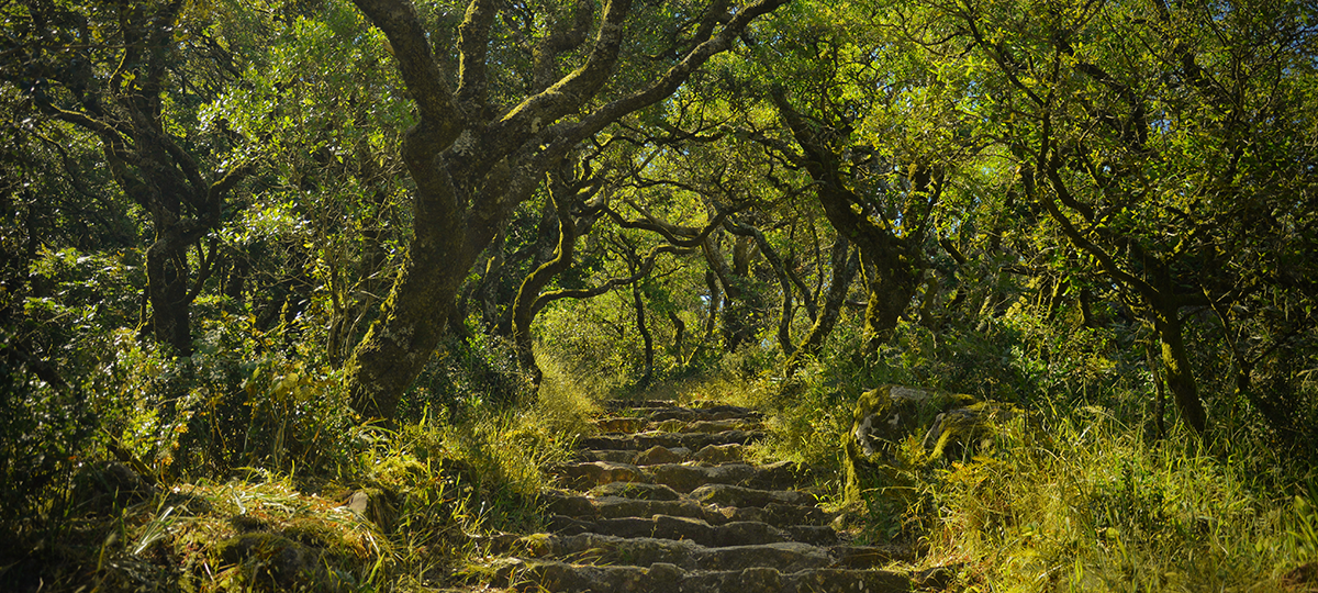 Hiking Portugal