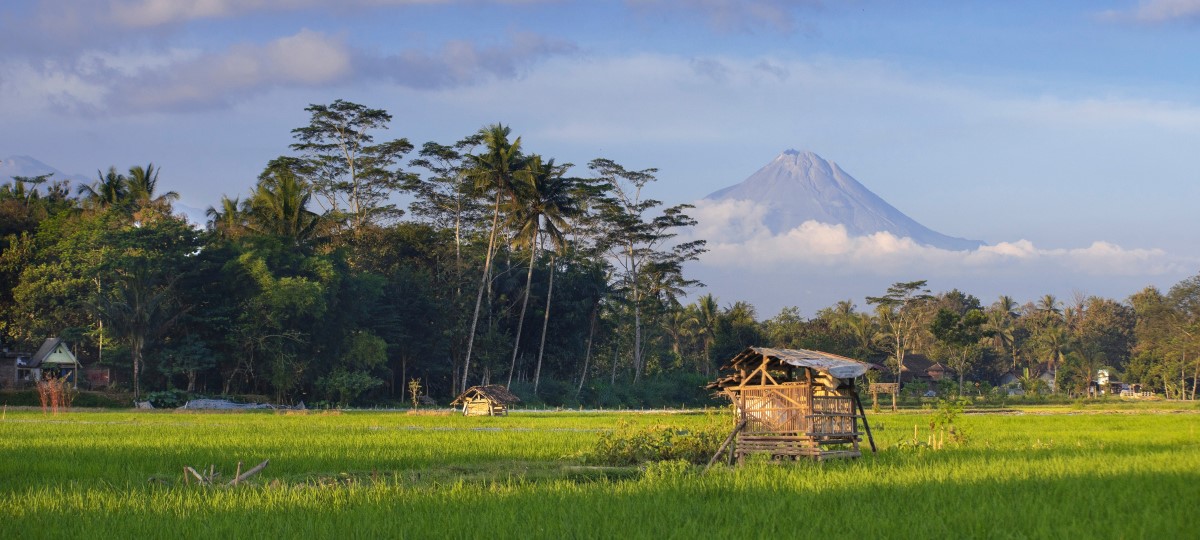 Borobudur Village Cycling