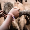 Conservation Safari - East Africa