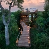 Romance In The Wild - Africa Rendezvous Romance In The Wild - Africa Rendezvous