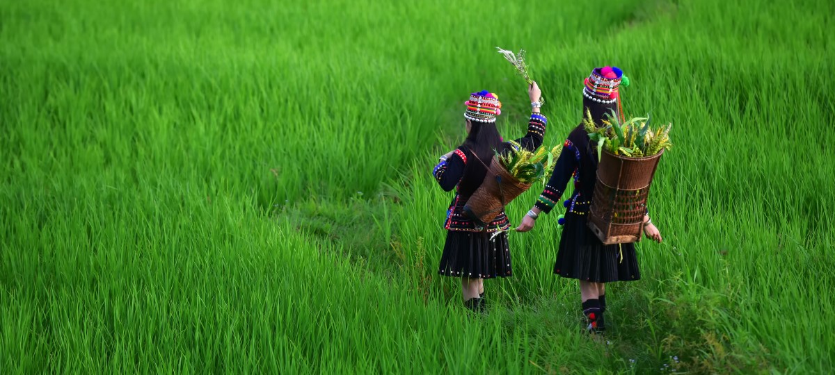 Rural Laos Explorer