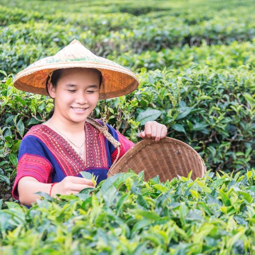 Our Top 5: Favorite Foodie Finds in Southeast Asia Our Top 5: Favorite Foodie Finds in Southeast Asia