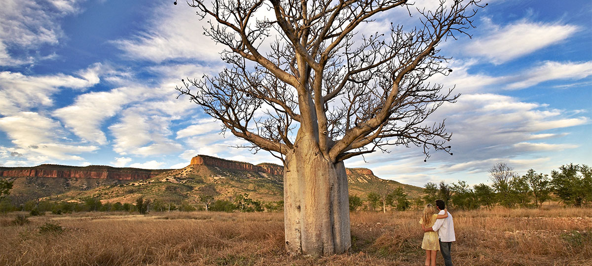 Kimberley Complete 4WD Tour