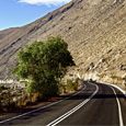 Chile Opens Land Borders Chile Opens Land Borders