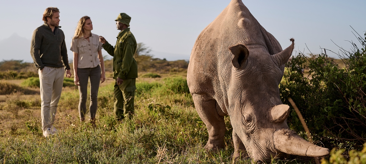 Sanctuary Kenya Specials