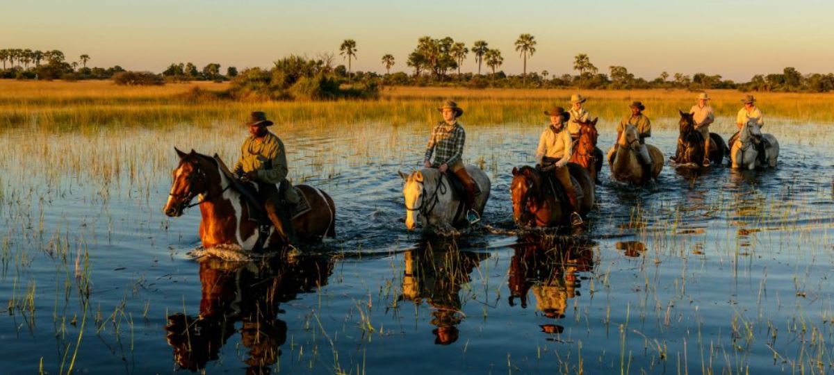 A Horse Riding Safari