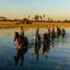 Akorn East and Southern Africa - Walking & Horse Riding Safaris