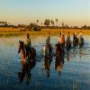 Akorn East and Southern Africa - Walking & Horse Riding Safaris Akorn East and Southern Africa - Walking & Horse Riding Safaris