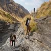 Akorn East and Southern Africa - Walking & Horse Riding Safaris Akorn East and Southern Africa - Walking & Horse Riding Safaris