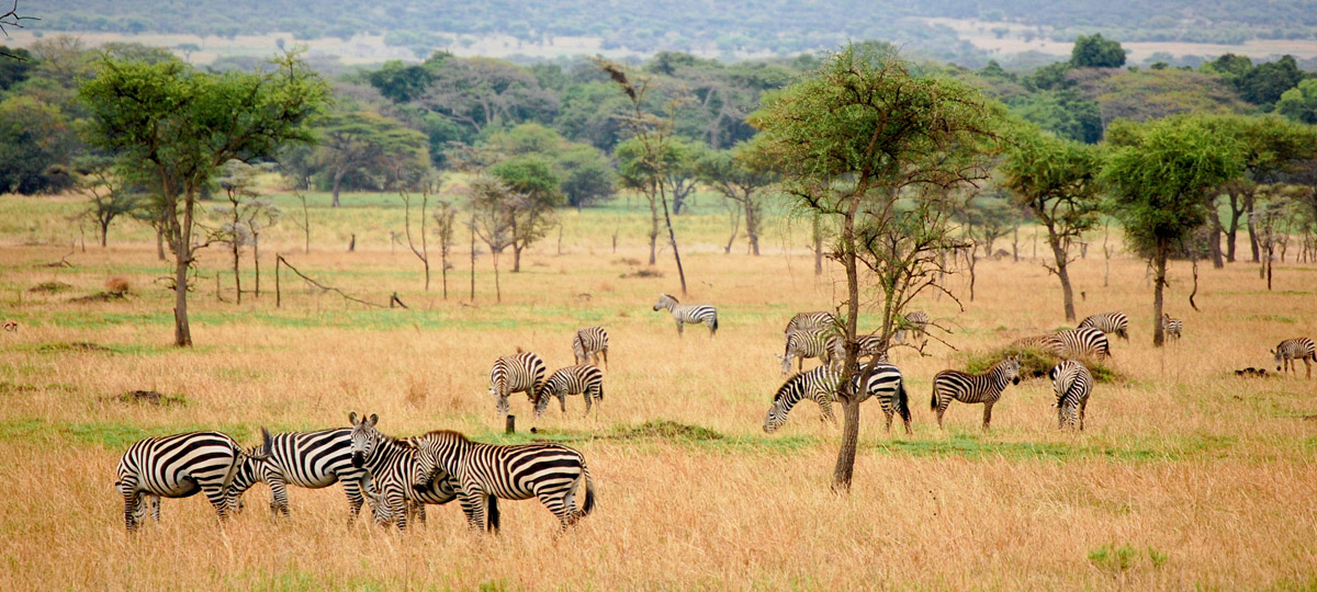 Serengeti National Park