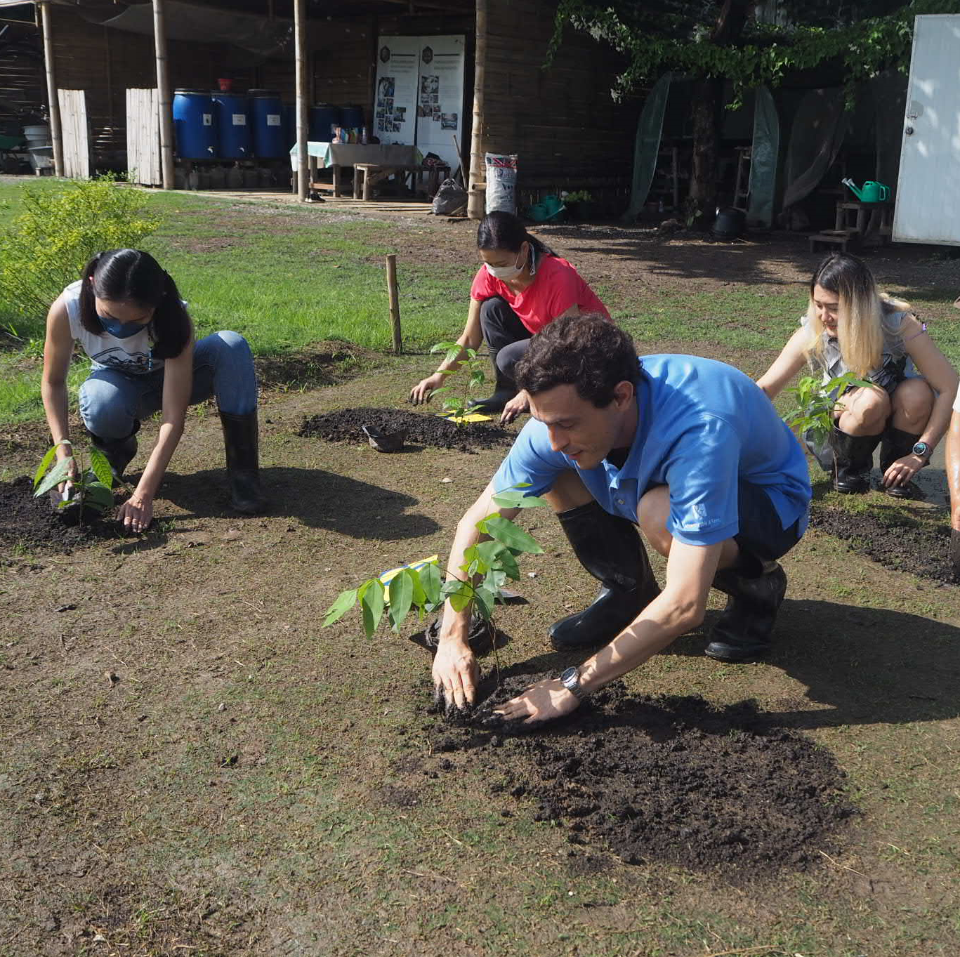 Akorn Southeast Asia Plants Trees in Bangkok, Thailand