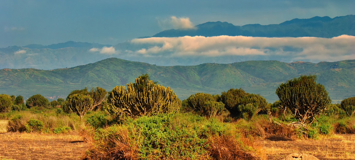 Rwenzori Mountains National Park