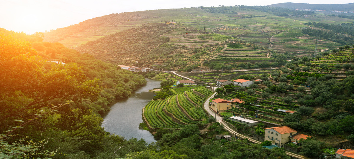 Booking Offers at Six Senses Resort, Douro Valley Booking Offers at Six Senses Resort, Douro Valley