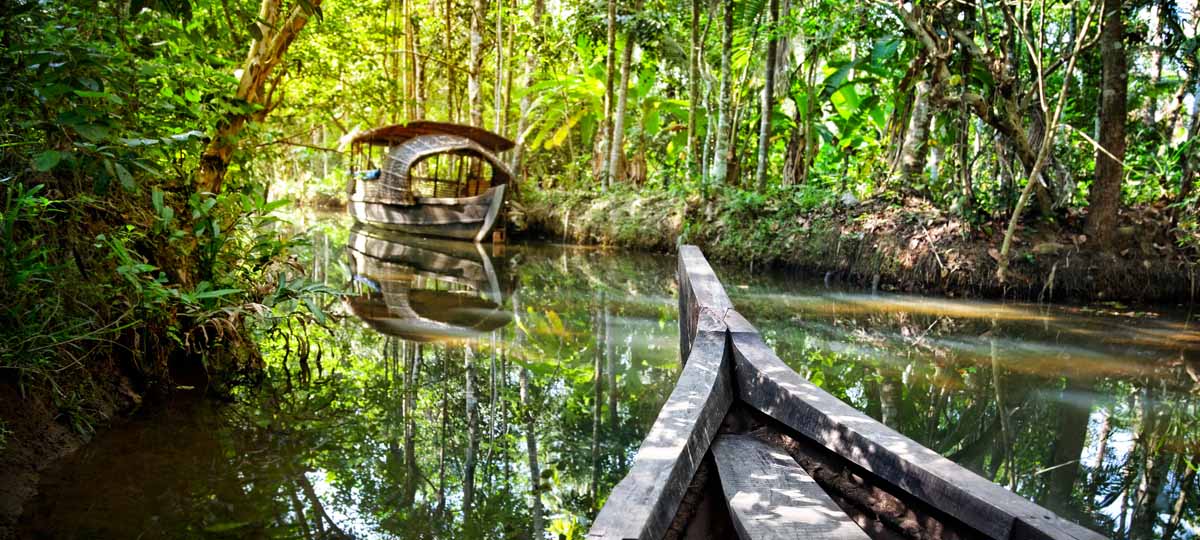 Kerala backwaters Kerala backwaters