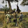 Greater Zimbabwe Discoveries - 2024 Greater Zimbabwe Discoveries - 2024