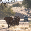 Classic Namibia - Overland - 2024