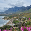 Cape Explorations - 2024 Cape Explorations - 2024