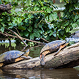 Top 5 Photography Spots in Costa Rica Top 5 Photography Spots in Costa Rica