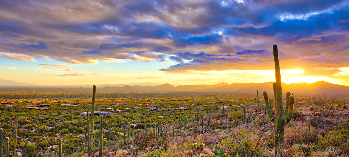 Tucson to Scottsdale - History & Culture, Art & Design