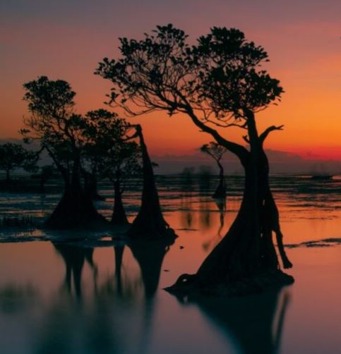 Top 5 Places to Visit in Southeast Asia in 2024 Top 5 Places to Visit in Southeast Asia in 2024