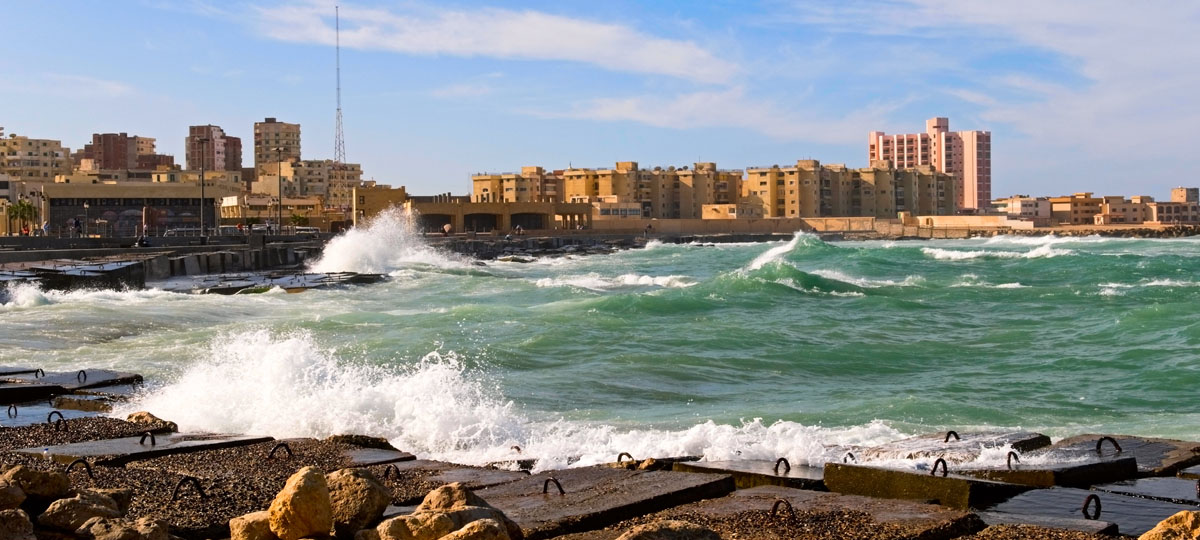 Alexandria extension 