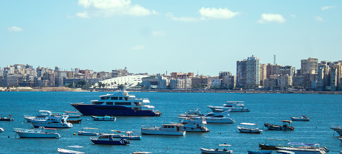 Alexandria extension 