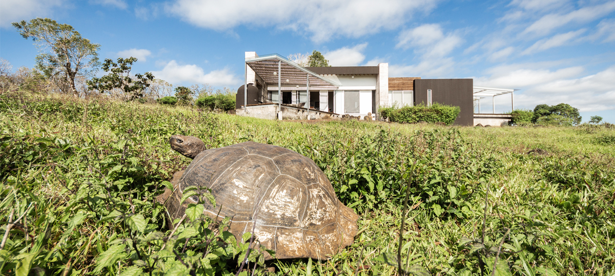 Montemar Villas
