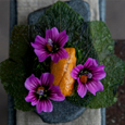 Boragó in The World's 50 Best Restaurants 2024 Boragó in The World's 50 Best Restaurants 2024