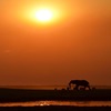 AKORN Country Info Botswana AKORN Country Info Botswana
